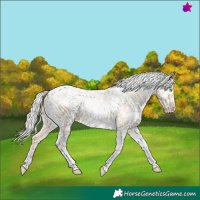 Horse Color:Silver Amber Champagne Pearl Dun Tobiano Near Leopard Rabicano  and Silver Amber Champagne Pearl Dun Tobiano Near Leopard Rabicano 