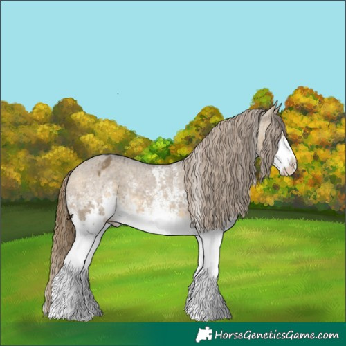 Horse Color:White Spotted Buckskin Dun Appaloosa 