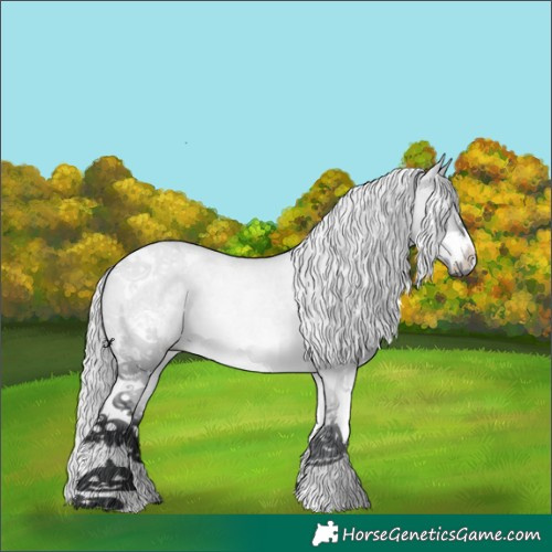 Horse Color:White Spotted Silver Brown Chinchilla Dun Tobiano Rabicano 