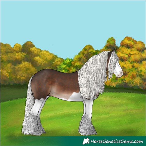 Horse Color:Liver Chestnut Mushroom Splash 