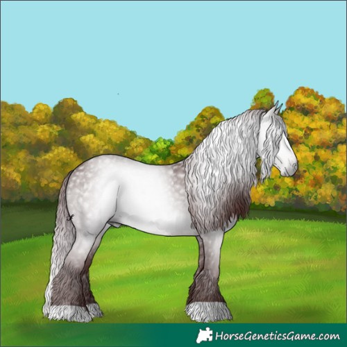 Horse Color:Gray Platinum Chocolate Brown Dun 