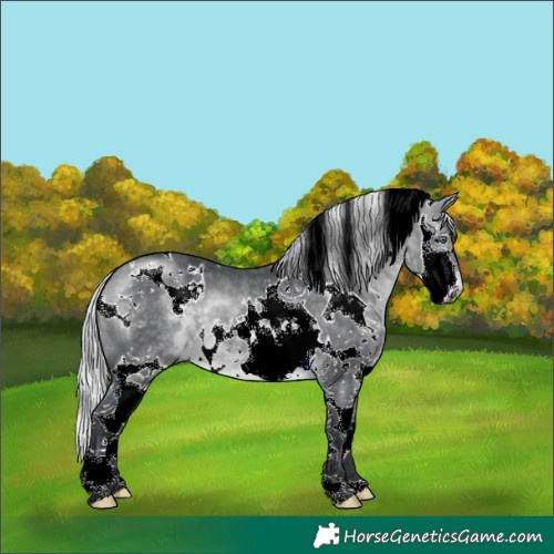 Horse Color:White Spotted Silver Brown Chinchilla Splash 