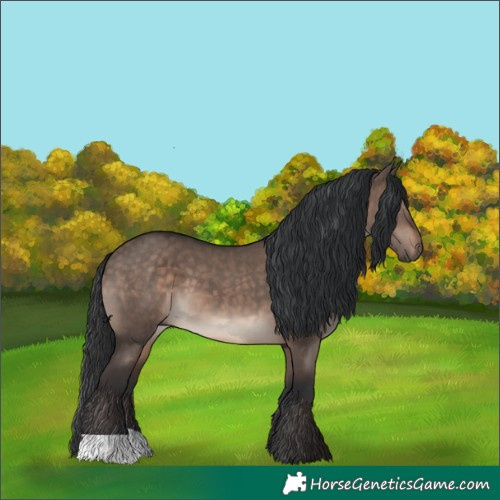 Horse Color:Brown Dun Mushroom 