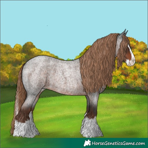 Horse Color:Liver Red Roan Splash