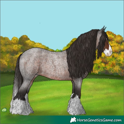 Horse Color:Liver Red Roan Splash