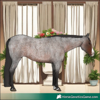 Horse Color:Liver Red Roan Splash 