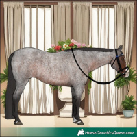 Horse Color:Liver Red Roan Splash