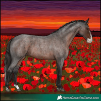 Horse Color:Liver Red Roan Splash