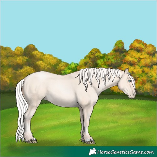 Horse Color:Silver Amber Cream Champagne Pearl 