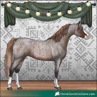 Horse Color:Liver Red Roan Splash