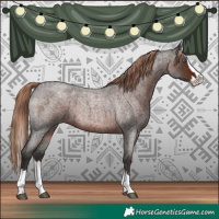 Horse Color:Liver Red Roan Splash