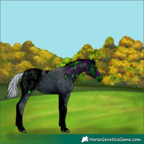 Horse Color:ERROR: UNKNOWN ANOMALY