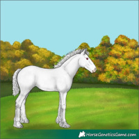 Horse Color:Chocolate Silver Smoky Creme Chinchilla 