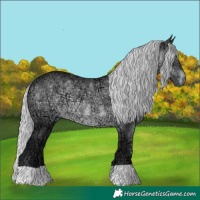 Horse Color:Silver Brown Chinchilla Ice