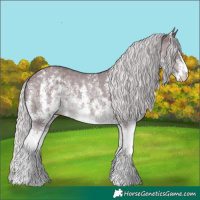 Horse Color:Chocolate Silver Black Chinchilla Sabino