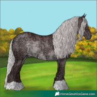 Horse Color:Chocolate Silver Black Chinchilla Ice 