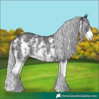 Horse Color:Silver Black Chinchilla Ice Sabino 