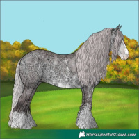 Horse Color:Chocolate Silver Sable Cream Champagne Chinchilla Ice Sabino 