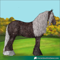 Horse Color:Chocolate Silver Smoky Black Chinchilla Ice 