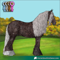 Horse Color:Chocolate Silver Smoky Black Chinchilla Ice 