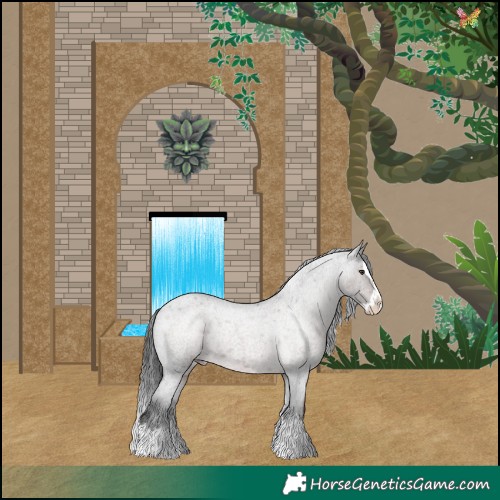 Horse Color:Platinum Liver Red Roan Splash Appaloosa 