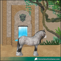 Horse Color:Platinum Liver Red Roan Splash Appaloosa 