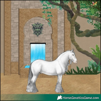 Horse Color:Platinum Liver Red Roan Splash Appaloosa 
