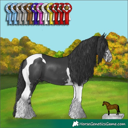 Horse Color:Black Tobiano  and Black Sabino Tobiano 