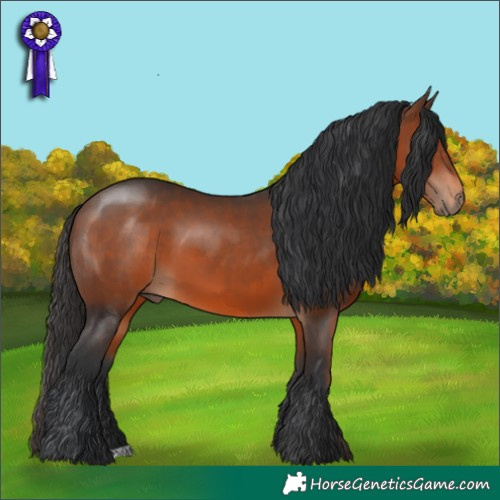 Horse Color:Brown 