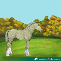Horse Color:Watercolor Chestnut Ice