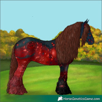 Horse Color:ERROR: UNKNOWN ANOMALY