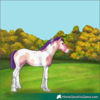 Horse Color:Watercolor Bay Ice Onyx Tobiano