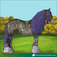 Horse Color:Watercolor Bay Ice Onyx 