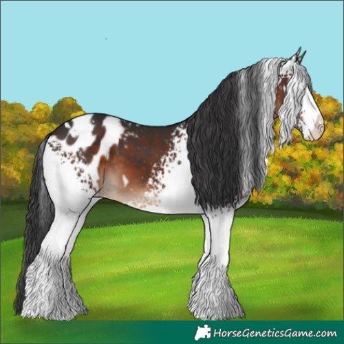 Horse Color:White Spotted Brown Varnish 