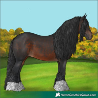 Horse Color:Brown 