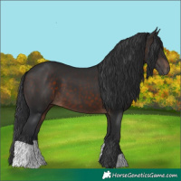 Horse Color:Brown 