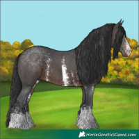 Horse Color:Brown Sabino