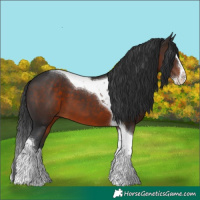 Horse Color:Brown Splash Tobiano