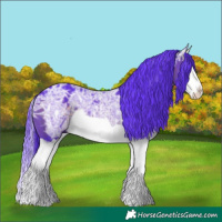 Horse Color:Watercolor Brown Ice Splash 