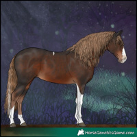 Horse Color:Liver Chestnut Splash Tobiano 