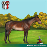 Horse Color:Brown 