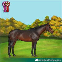 Horse Color:Brown 