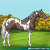 Horse Color:Silver Black Tobiano