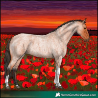 Horse Color:Bay Roan Tobiano
