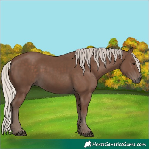 Horse Color:Silver Black 
