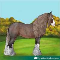 Horse Color:Liver Red Roan Splash Rabicano 