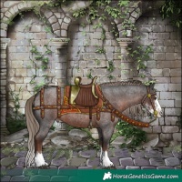 Horse Color:Liver Red Roan Sabino Splash