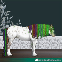 Horse Color:Painted White Spotted Liver Red Dun Ice Sabino Appaloosa Rabicano 