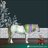 Horse Color:Gray Painted Grullo Ice Tobiano Rabicano 