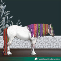 Horse Color:Gray Painted White Spotted Red Dun Ice Roan Frame Appaloosa Rabicano